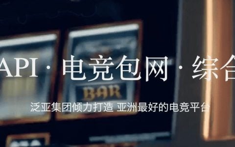 泛亚电竞API，电竞竞猜包网