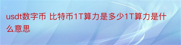 usdt数字币 比特币1T算力是多少1T算力是什么意思