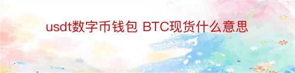 usdt数字币钱包 BTC现货什么意思