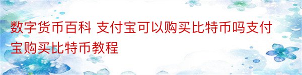 数字货币百科 支付宝可以购买比特币吗支付宝购买比特币教程