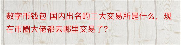 数字币钱包 国内出名的三大交易所是什么，现在币圈大佬都去哪里交易了？