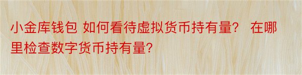 小金库钱包 如何看待虚拟货币持有量？ 在哪里检查数字货币持有量？