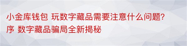 小金库钱包 玩数字藏品需要注意什么问题？序 数字藏品骗局全新揭秘