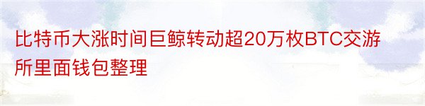 比特币大涨时间巨鲸转动超20万枚BTC交游所里面钱包整理