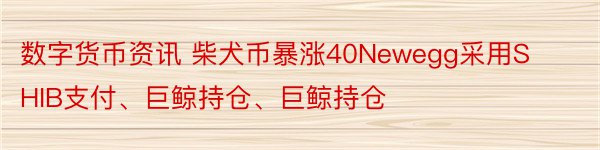 数字货币资讯 柴犬币暴涨40Newegg采用SHIB支付、巨鲸持仓、巨鲸持仓