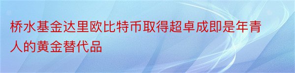 桥水基金达里欧比特币取得超卓成即是年青人的黄金替代品