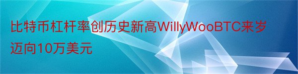 比特币杠杆率创历史新高WillyWooBTC来岁迈向10万美元