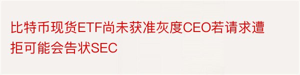 比特币现货ETF尚未获准灰度CEO若请求遭拒可能会告状SEC