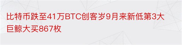 比特币跌至41万BTC创客岁9月来新低第3大巨鲸大买867枚