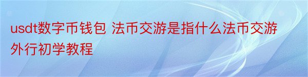 usdt数字币钱包 法币交游是指什么法币交游外行初学教程