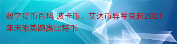 数字货币百科 波卡币、艾达币异军突起2021年末涨势跑赢比特币