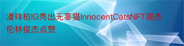 潘玮柏IG秀出无辜猫InnocentCatsNFT周杰伦林俊杰点赞