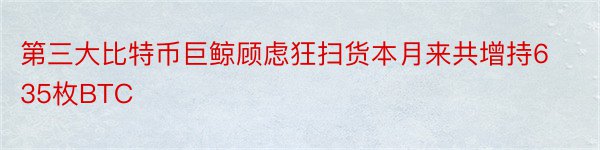 第三大比特币巨鲸顾虑狂扫货本月来共增持635枚BTC