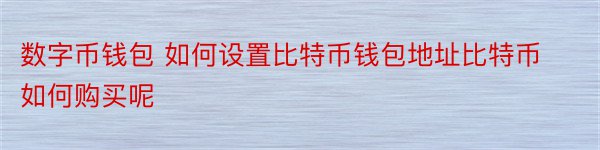 数字币钱包 如何设置比特币钱包地址比特币如何购买呢