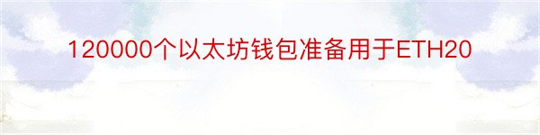 120000个以太坊钱包准备用于ETH20