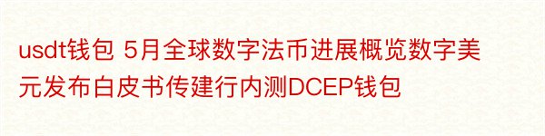 usdt钱包 5月全球数字法币进展概览数字美元发布白皮书传建行内测DCEP钱包