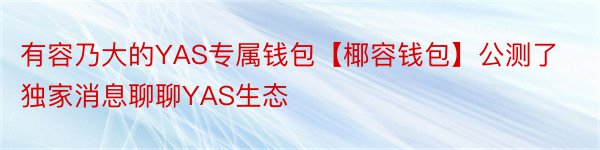 有容乃大的YAS专属钱包【椰容钱包】公测了独家消息聊聊YAS生态