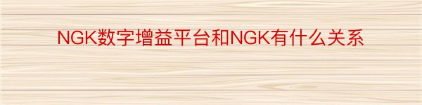 NGK数字增益平台和NGK有什么关系