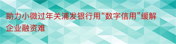 助力小微过年关浦发银行用“数字信用”缓解企业融资难