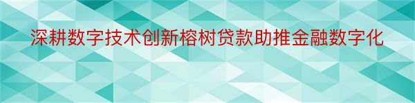 深耕数字技术创新榕树贷款助推金融数字化