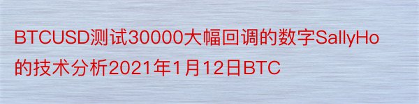 BTCUSD测试30000大幅回调的数字SallyHo的技术分析2021年1月12日BTC