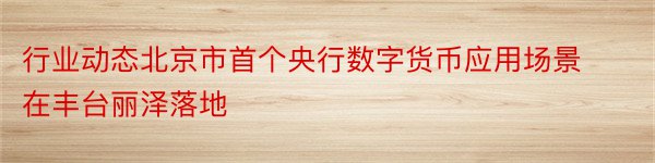 行业动态北京市首个央行数字货币应用场景在丰台丽泽落地