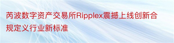 芮波数字资产交易所Ripplex震撼上线创新合规定义行业新标准