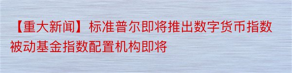 【重大新闻】标准普尔即将推出数字货币指数被动基金指数配置机构即将