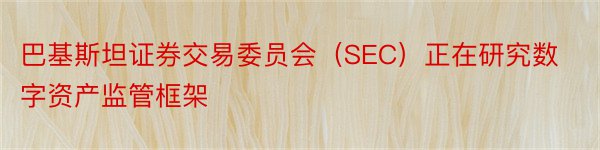 巴基斯坦证券交易委员会（SEC）正在研究数字资产监管框架