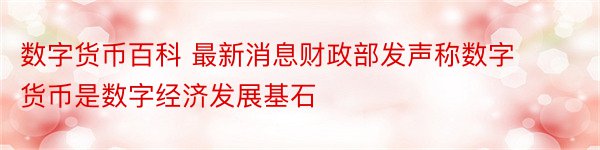 数字货币百科 最新消息财政部发声称数字货币是数字经济发展基石