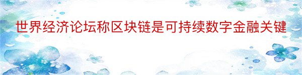 世界经济论坛称区块链是可持续数字金融关键